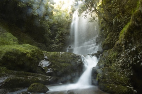 Waitanguru Falls nearby