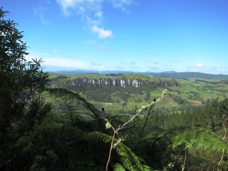 Hairy Feet Waitomo - Activities and Attractions