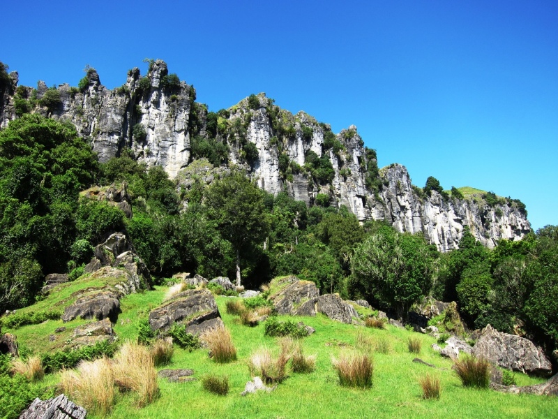 Scenic Drive 1 - Loop Road - Activities and Attractions