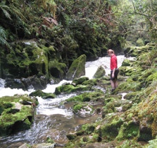 Tawerau Falls Loop Track