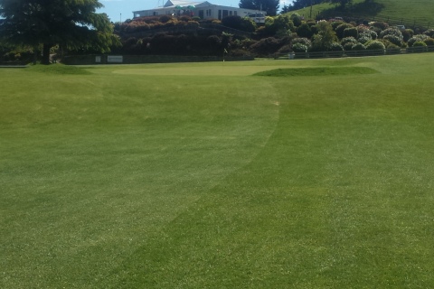 Piopio/Aria Golf Club