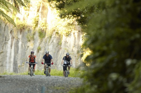 Walks and Biking